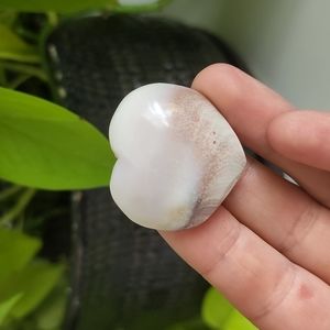 Sun Shell Crystal Heart